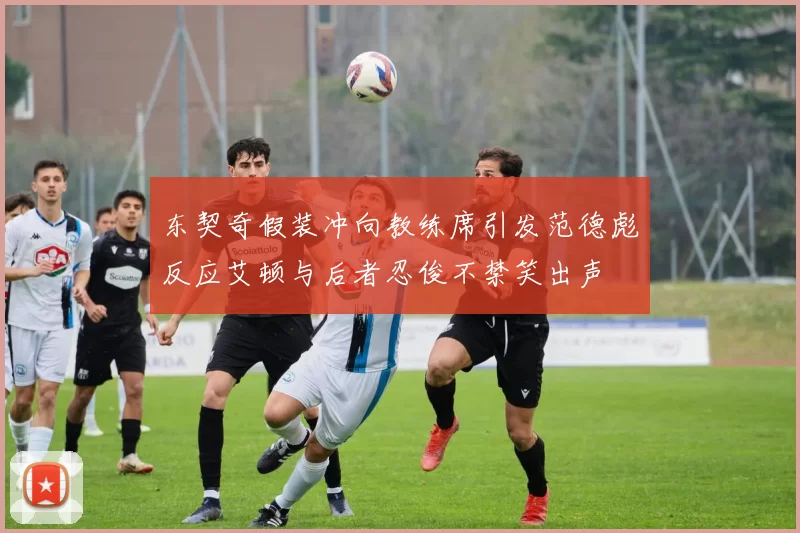 东契奇假装冲向教练席引发范德彪反应艾顿与后者忍俊不禁笑出声